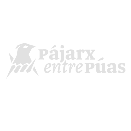 LOGOpajarx2-white