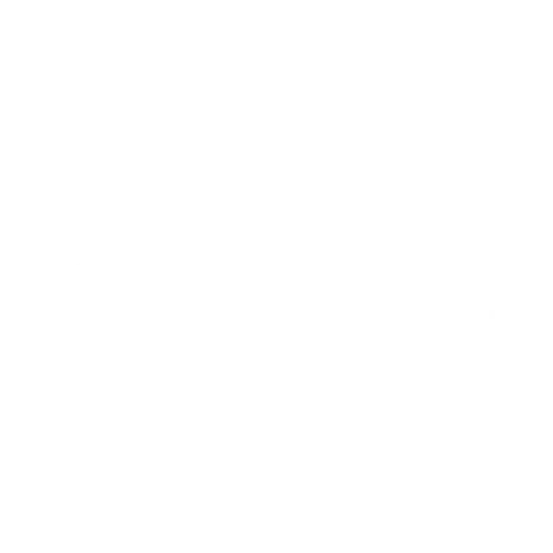 Pith White Logo Converted
