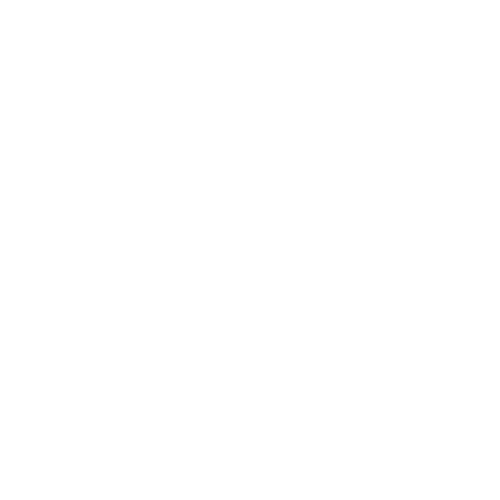 SAT logo Withe